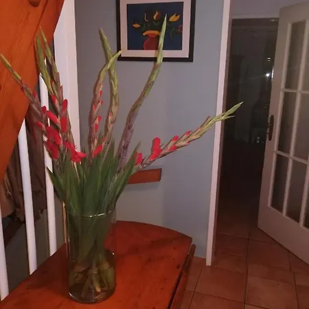 Appartement Haus Garten