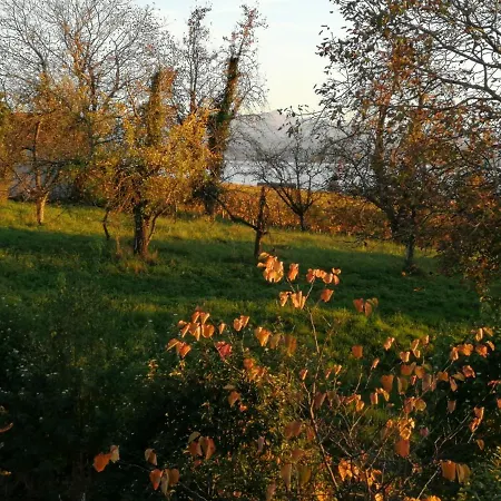 Haus Garten Appartement