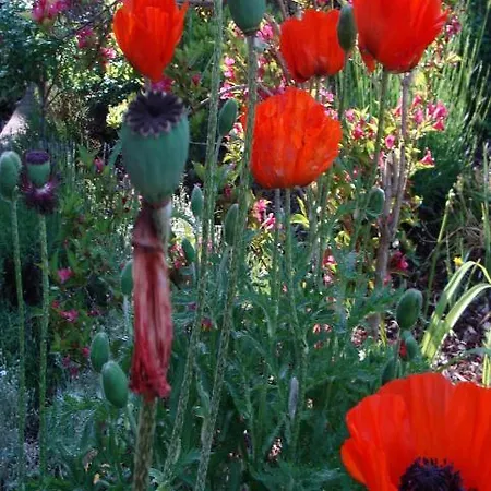 شقة Haus Garten