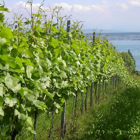 Appartement Haus Garten *