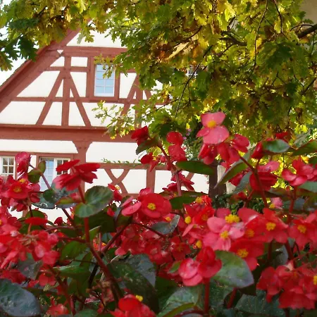 Haus Garten Meersburg